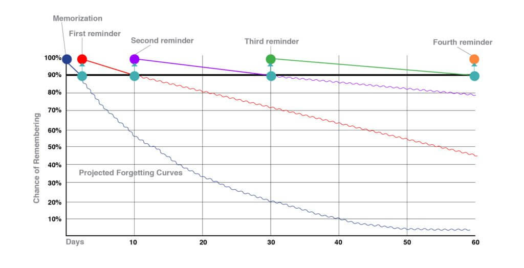 Forgetting Curves