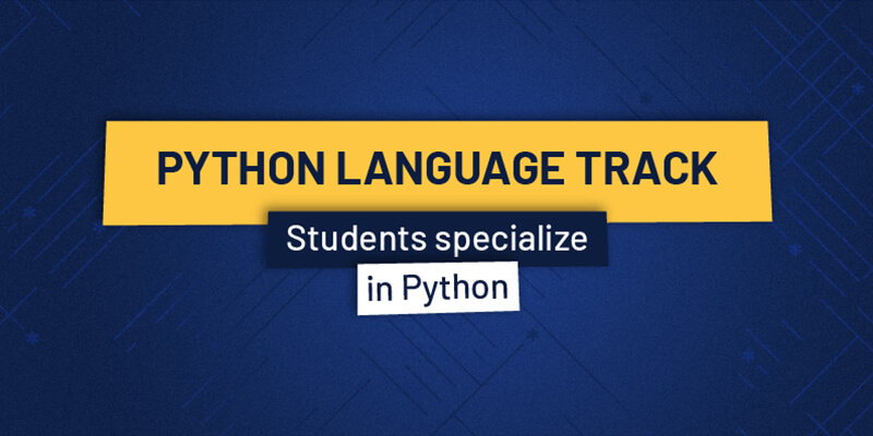 python language summer program options