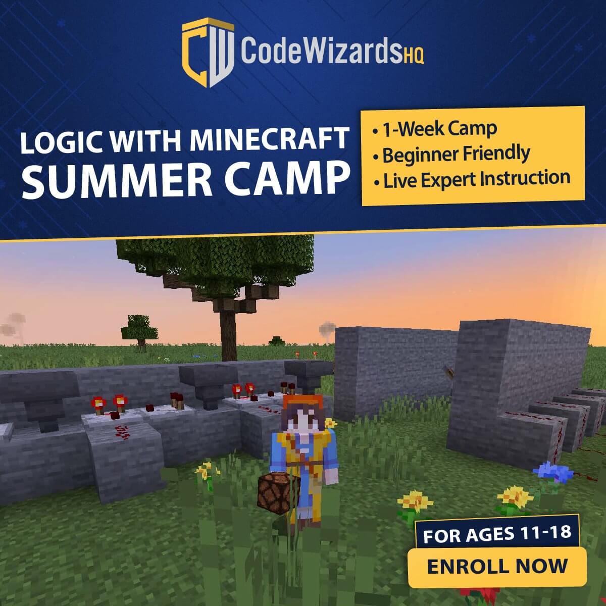 High school boy playing minecraft