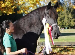 Ellie with horse