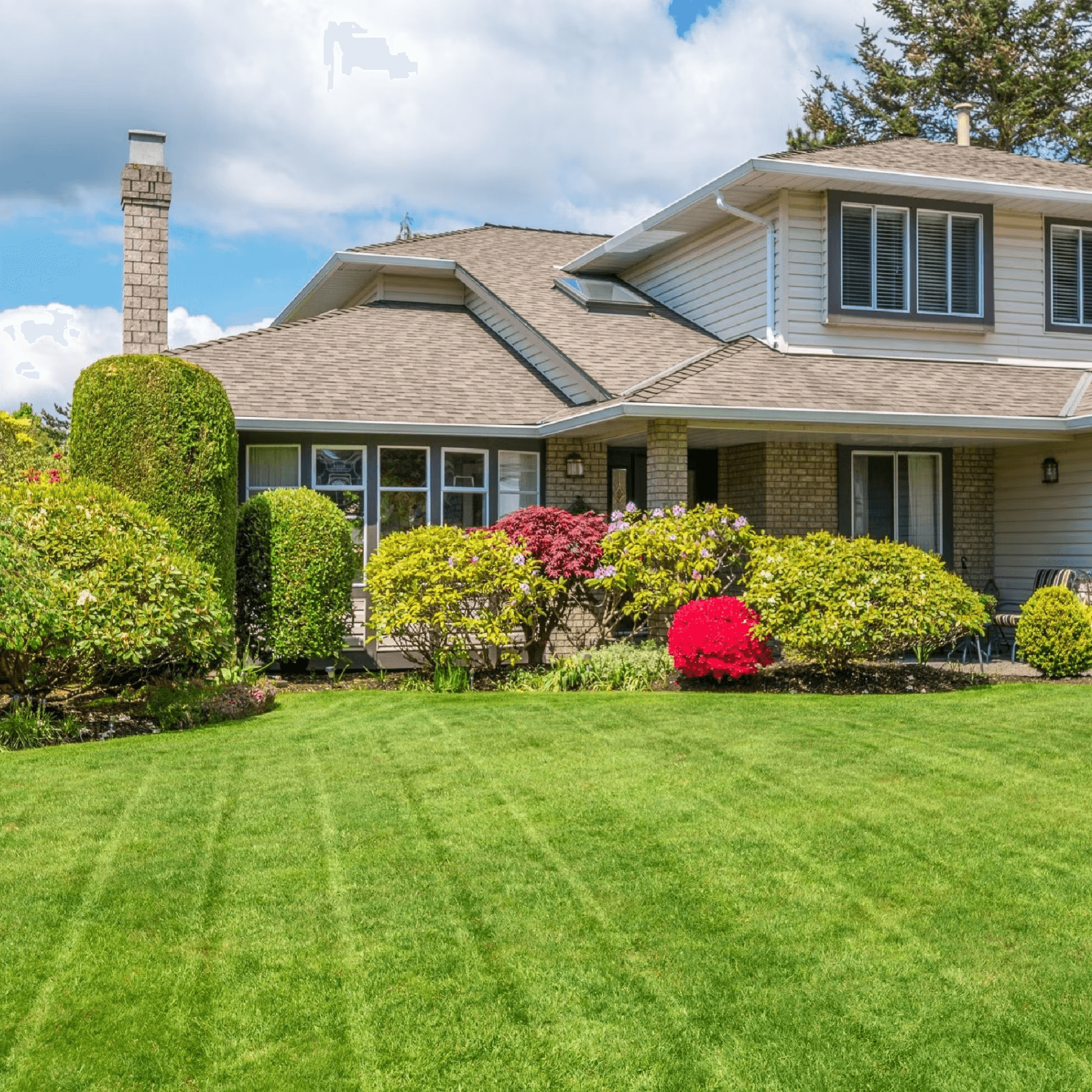 Lawn service website