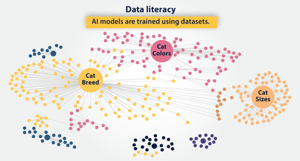 Data literacy for AI